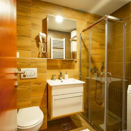Apartments Mikic Ζλάτιμπορ Εξωτερικό φωτογραφία